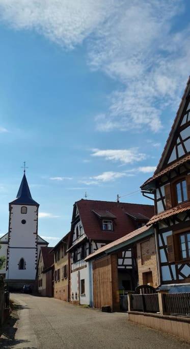 Alsace Bas-Rhin Logis Independant Avec Piscine Privee Alteckendorf Exterior foto